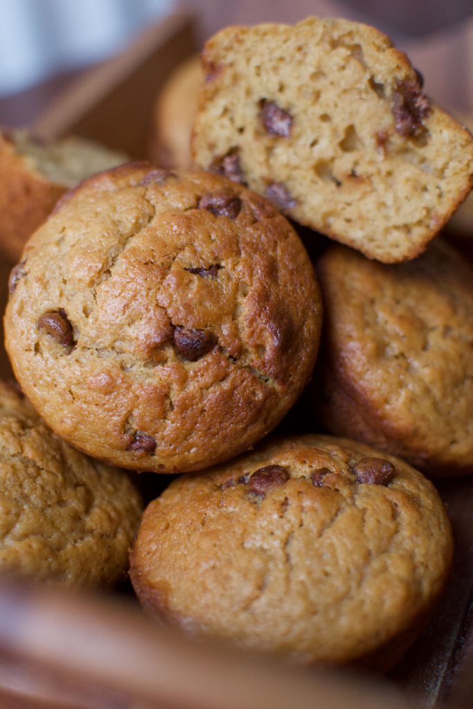 Chocolate chip muffins