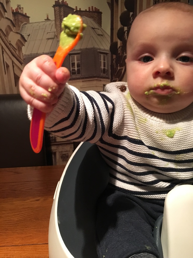 Little boy loves avocado